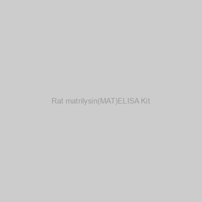 GenAsia Biotech - Rat matrilysin(MAT)ELISA Kit